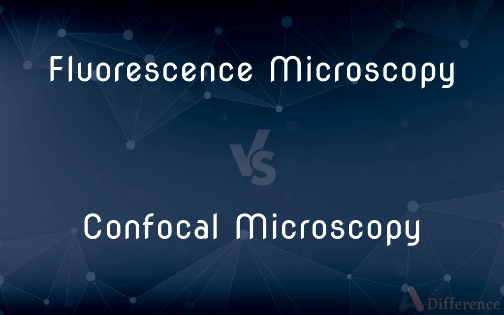 Fluorescence Microscopy vs. Confocal Microscopy — What's the Difference?