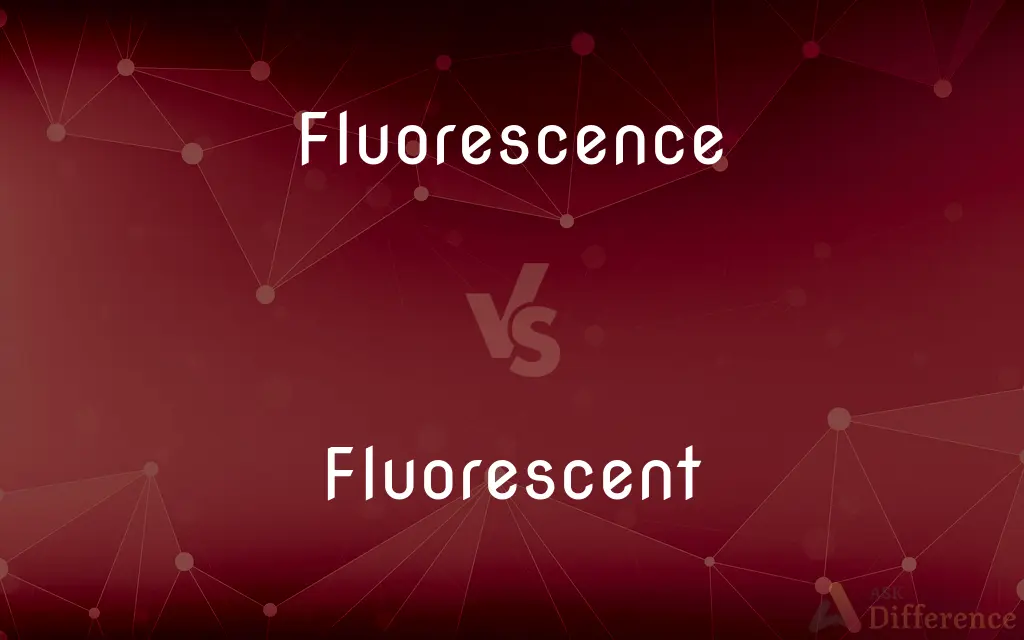 Fluorescence vs. Fluorescent — What's the Difference?