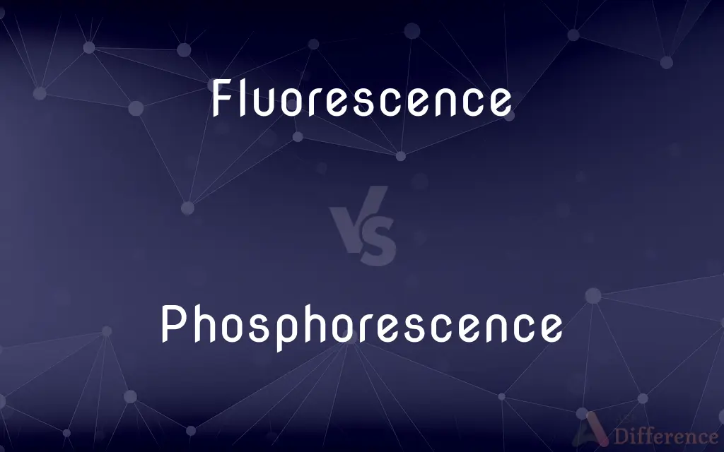 Fluorescence vs. Phosphorescence — What's the Difference?