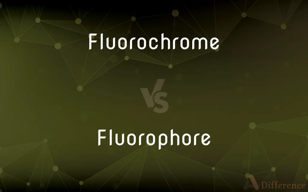 Fluorochrome vs. Fluorophore — What's the Difference?