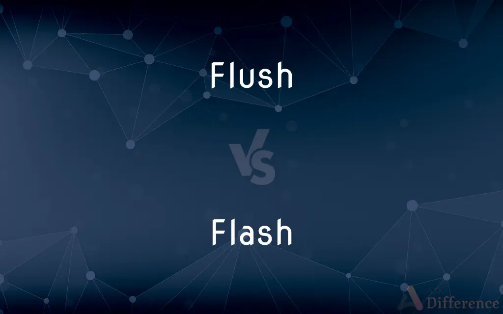 Flush vs. Flash — What's the Difference?
