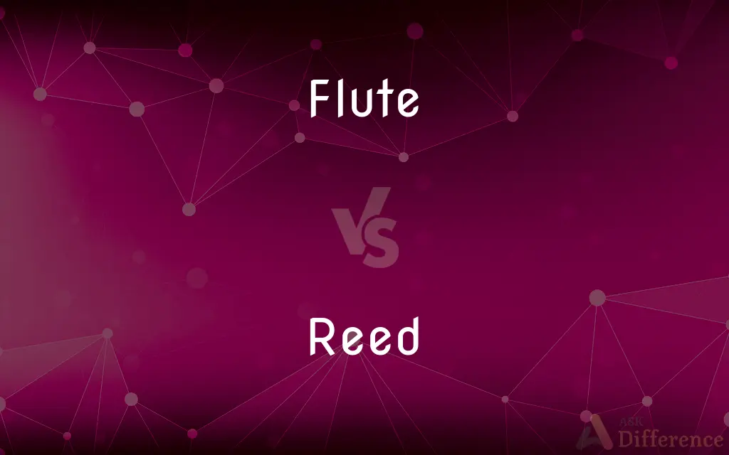 Flute vs. Reed — What's the Difference?