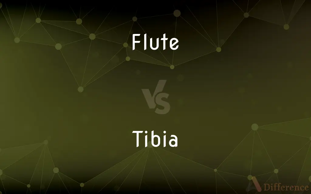Flute vs. Tibia — What's the Difference?