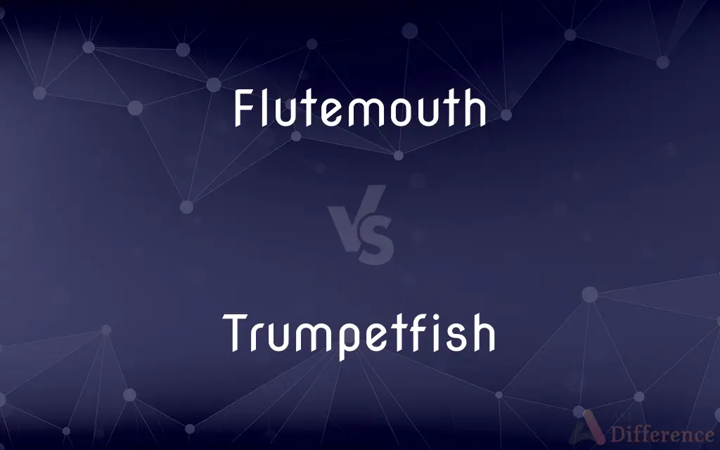 Flutemouth vs. Trumpetfish — What's the Difference?