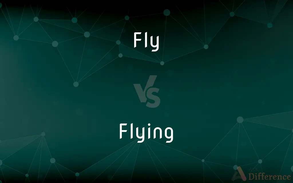 Fly vs. Flying — What's the Difference?
