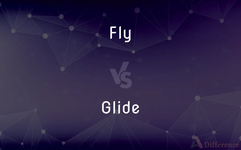 Fly vs. Glide — What's the Difference?