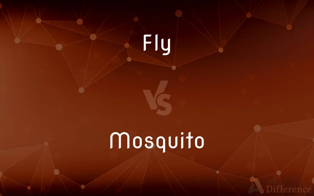 Fly vs. Mosquito — What's the Difference?