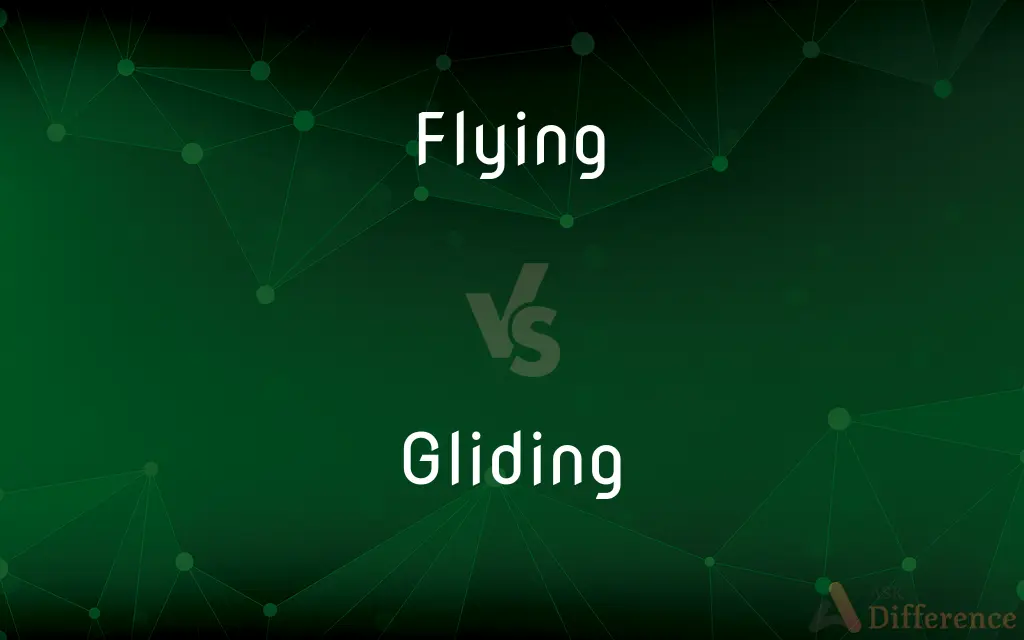 Flying vs. Gliding — What's the Difference?