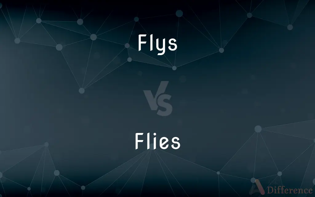 Flys vs. Flies — Which is Correct Spelling?