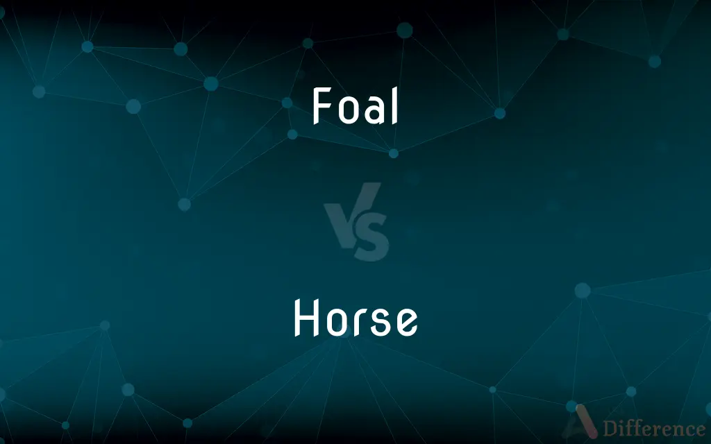 Foal vs. Horse — What's the Difference?