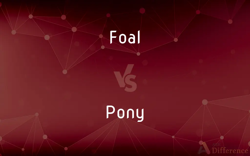 Foal vs. Pony — What's the Difference?