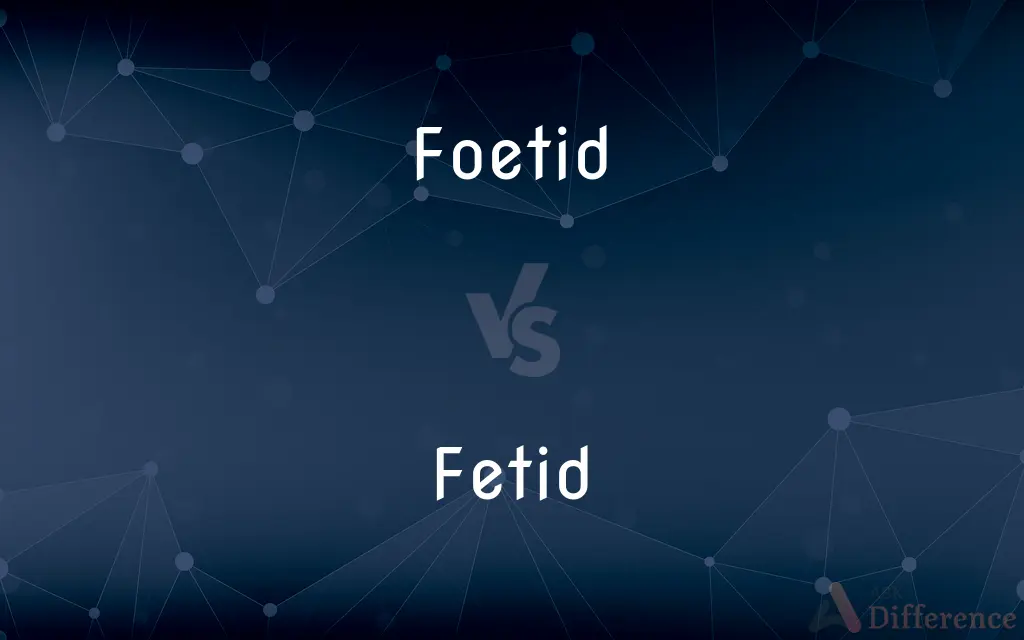 Foetid vs. Fetid — Which is Correct Spelling?