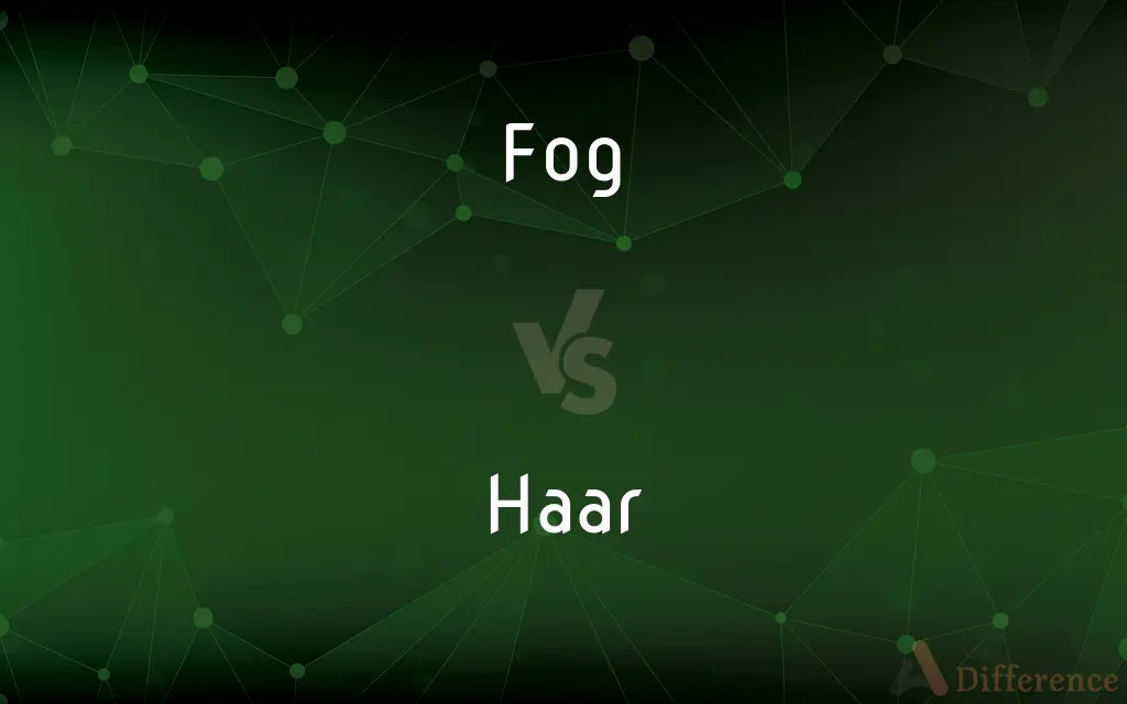 Fog vs. Haar — What's the Difference?