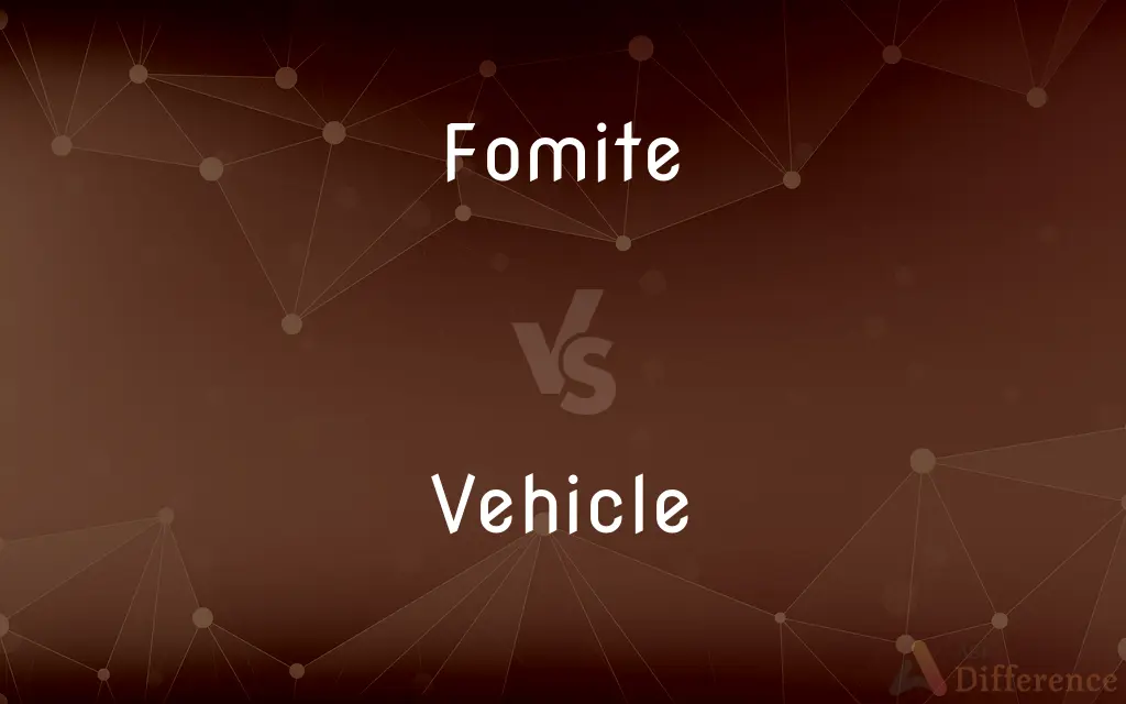 Fomite vs. Vehicle — What's the Difference?