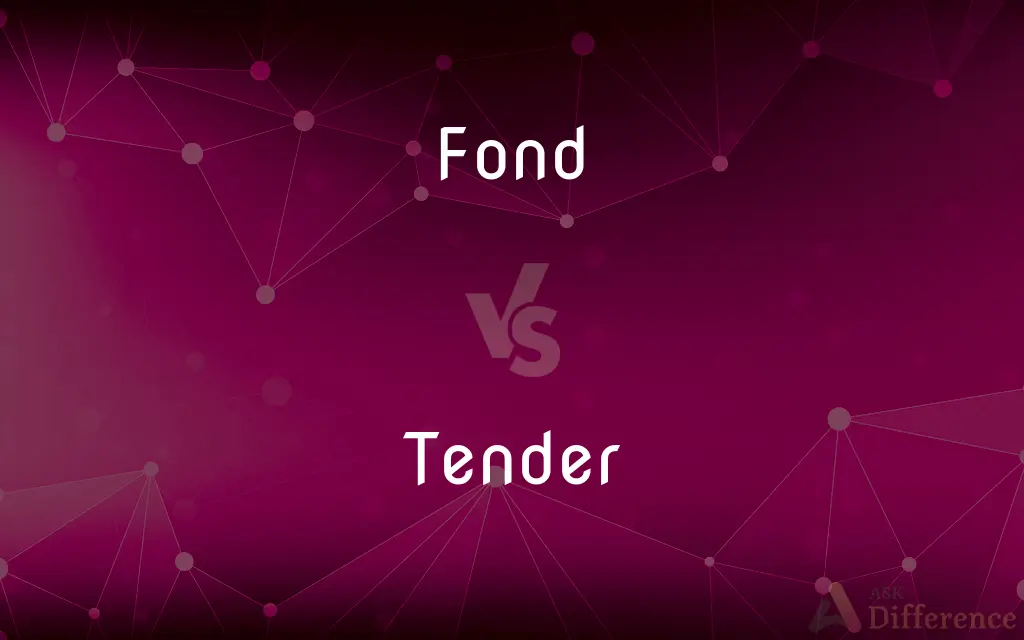 Fond vs. Tender — What's the Difference?
