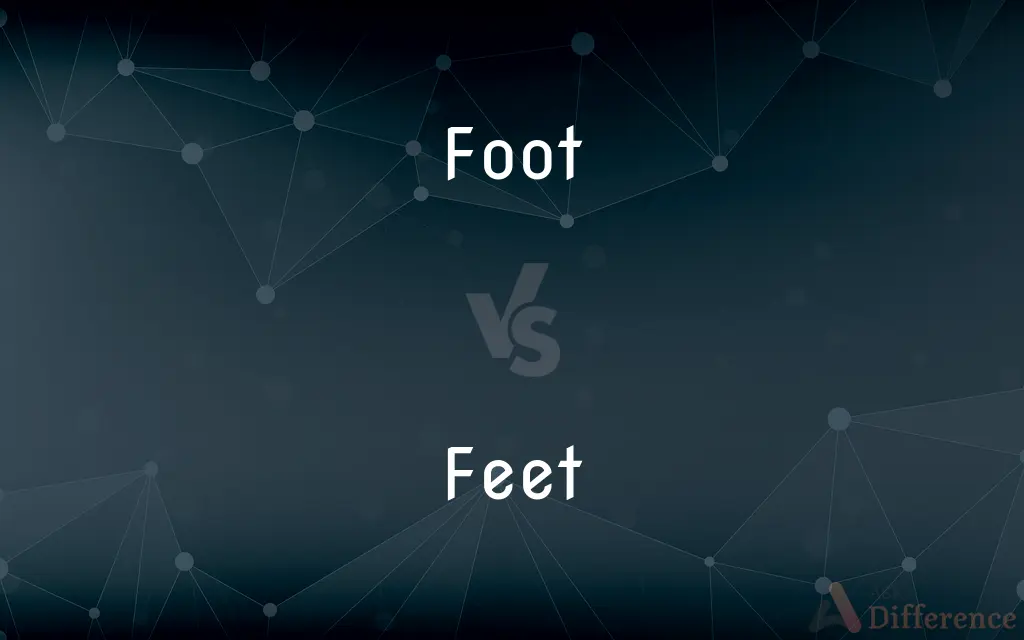 Foot vs. Feet — What's the Difference?