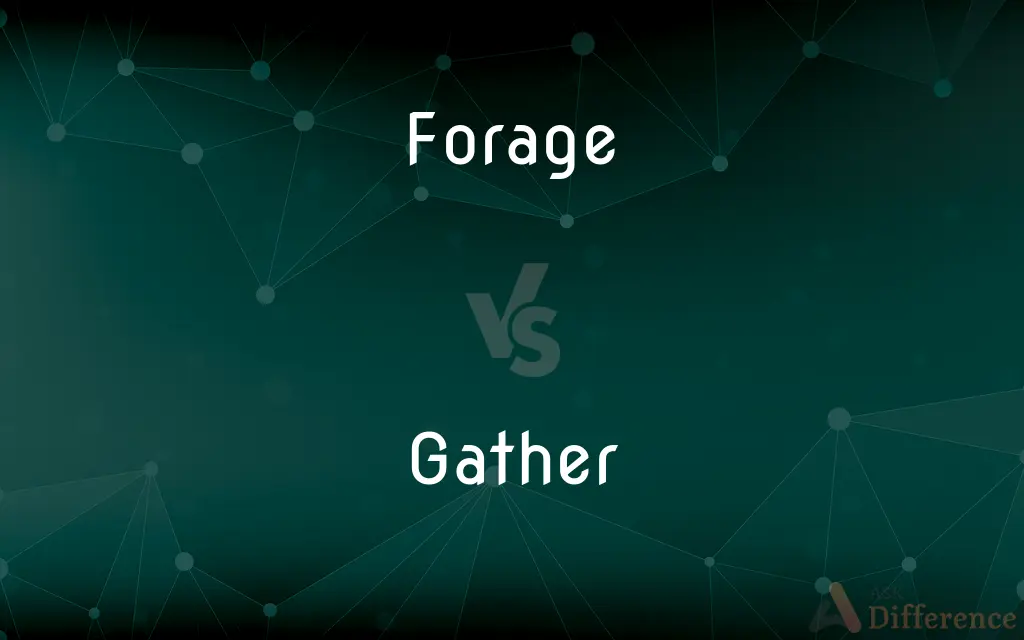 Forage vs. Gather — What's the Difference?