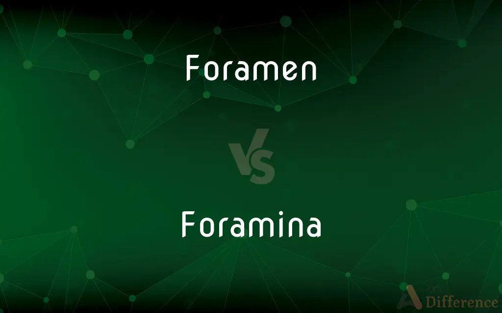 Foramen vs. Foramina — What's the Difference?