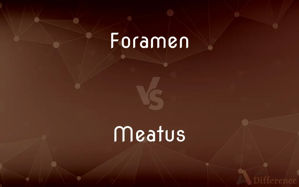 Foramen vs. Meatus — What's the Difference?