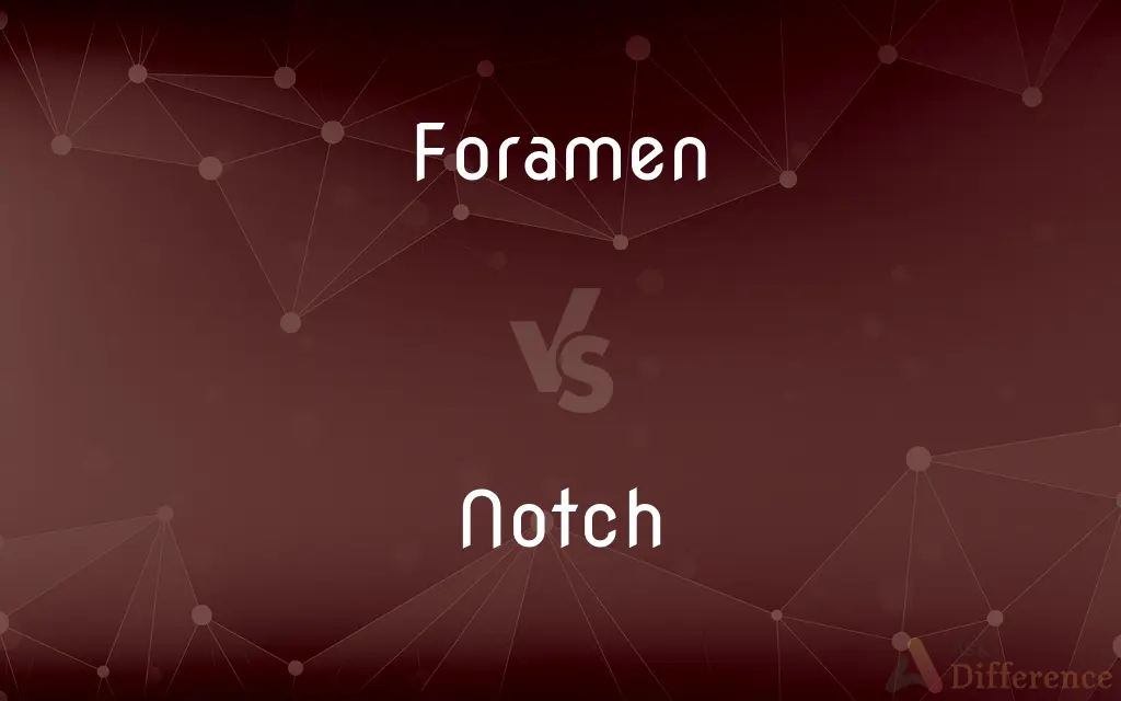Foramen vs. Notch — What's the Difference?
