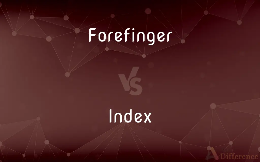 Forefinger vs. Index — What's the Difference?