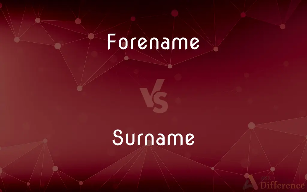 Forename vs. Surname — What's the Difference?