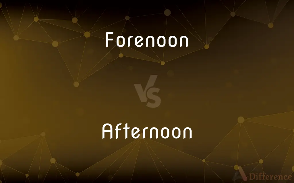 Forenoon vs. Afternoon — What's the Difference?