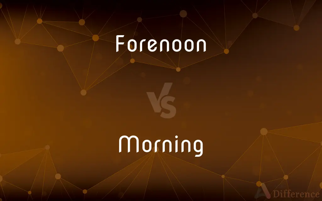 Forenoon vs. Morning — What's the Difference?