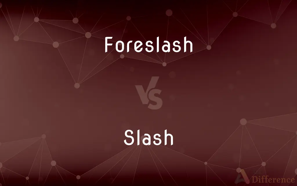 Foreslash vs. Slash — What's the Difference?