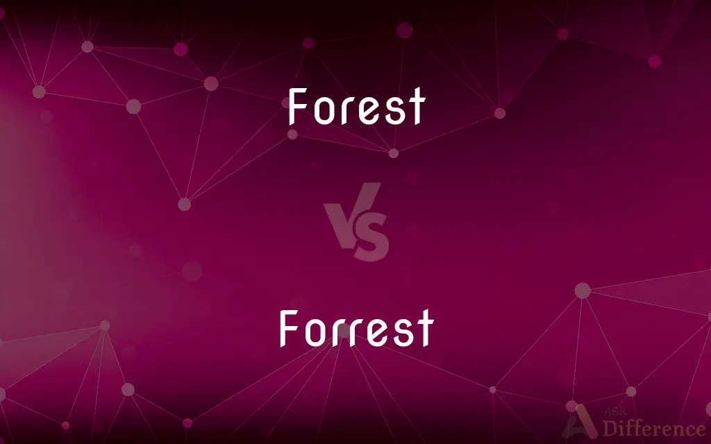 Forest vs. Forrest — What's the Difference?