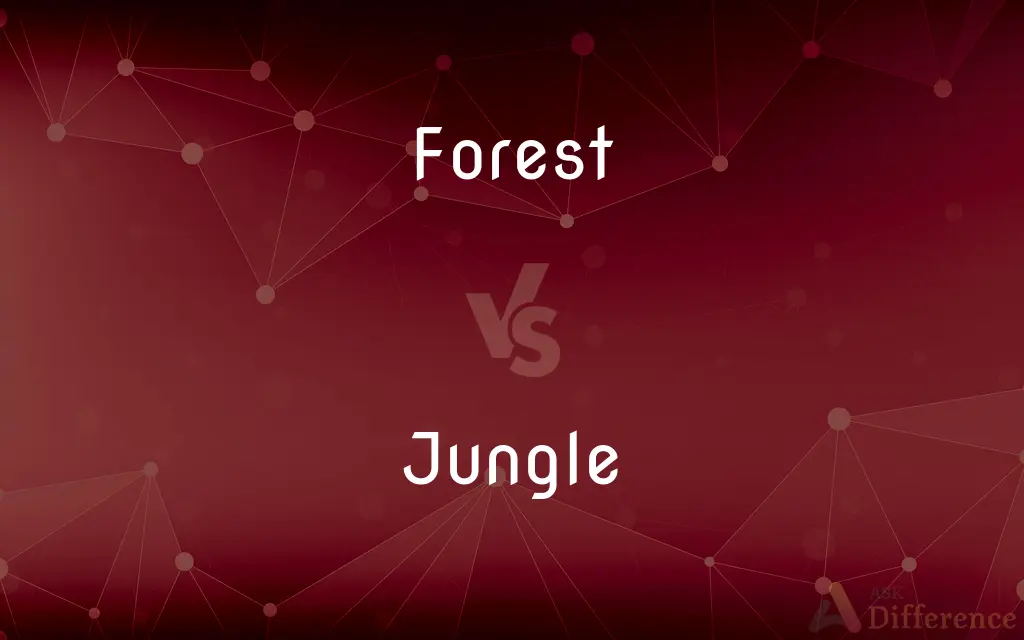 Forest vs. Jungle — What's the Difference?