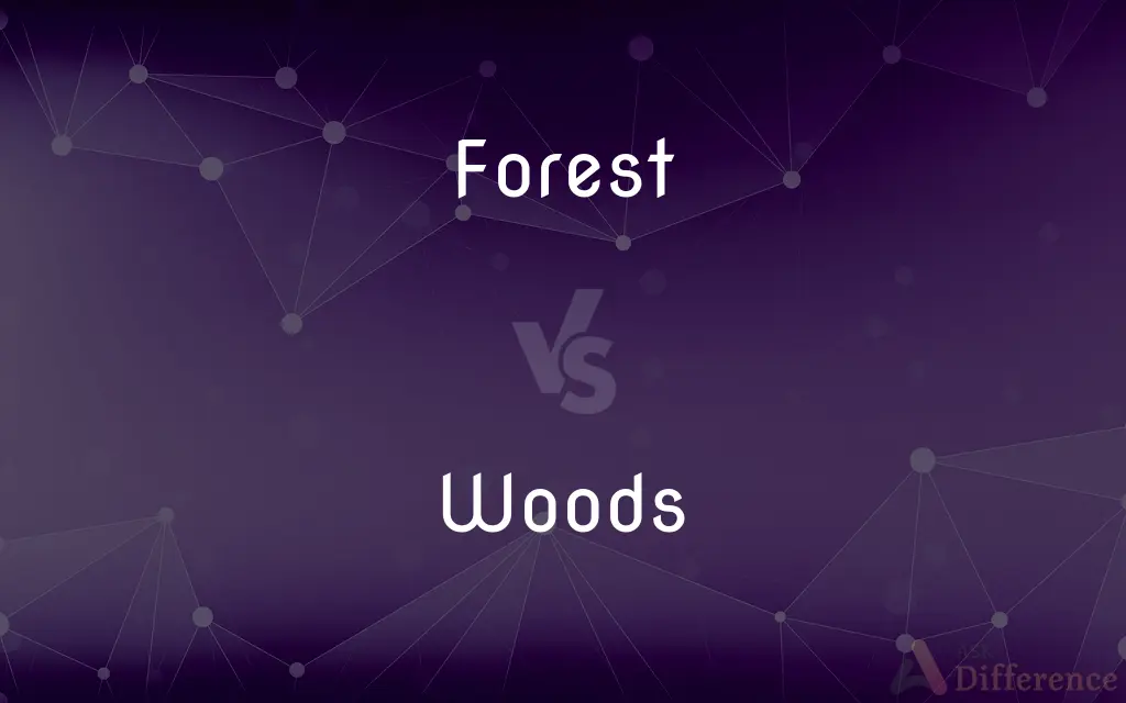 Forest vs. Woods — What's the Difference?