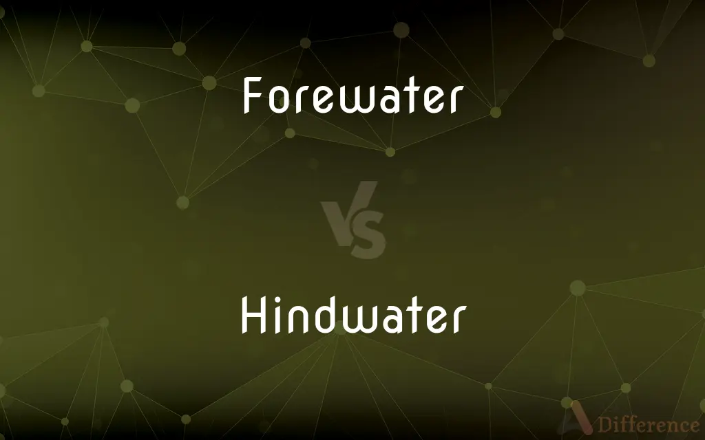 Forewater vs. Hindwater — What's the Difference?