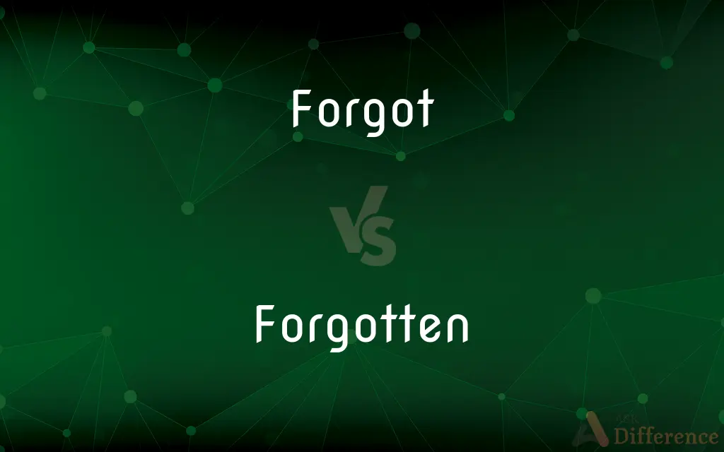 Forgot vs. Forgotten — What's the Difference?