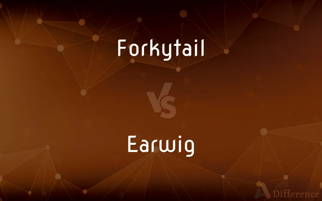 Forkytail vs. Earwig — What's the Difference?