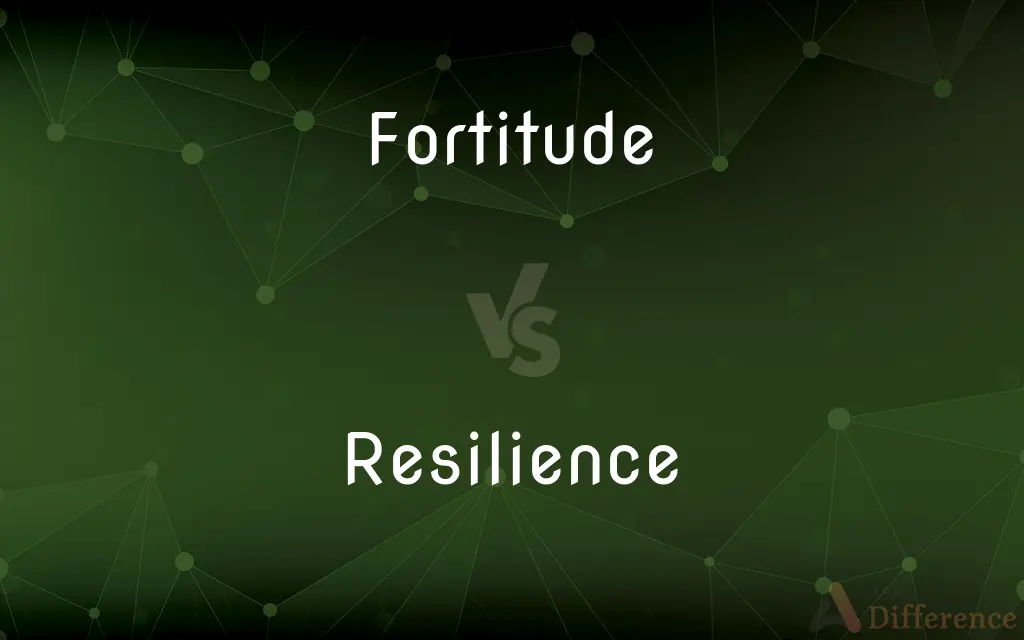 Fortitude vs. Resilience — What's the Difference?