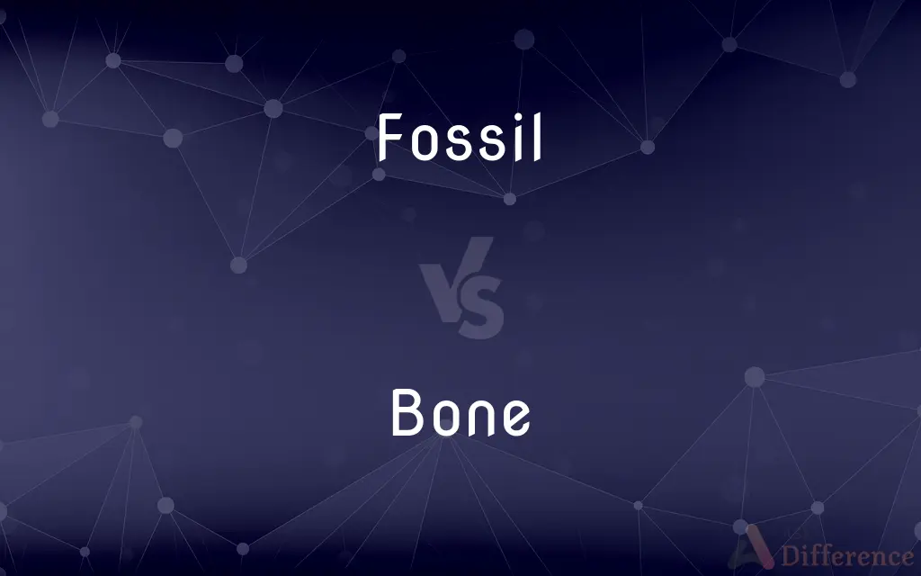Fossil vs. Bone — What's the Difference?