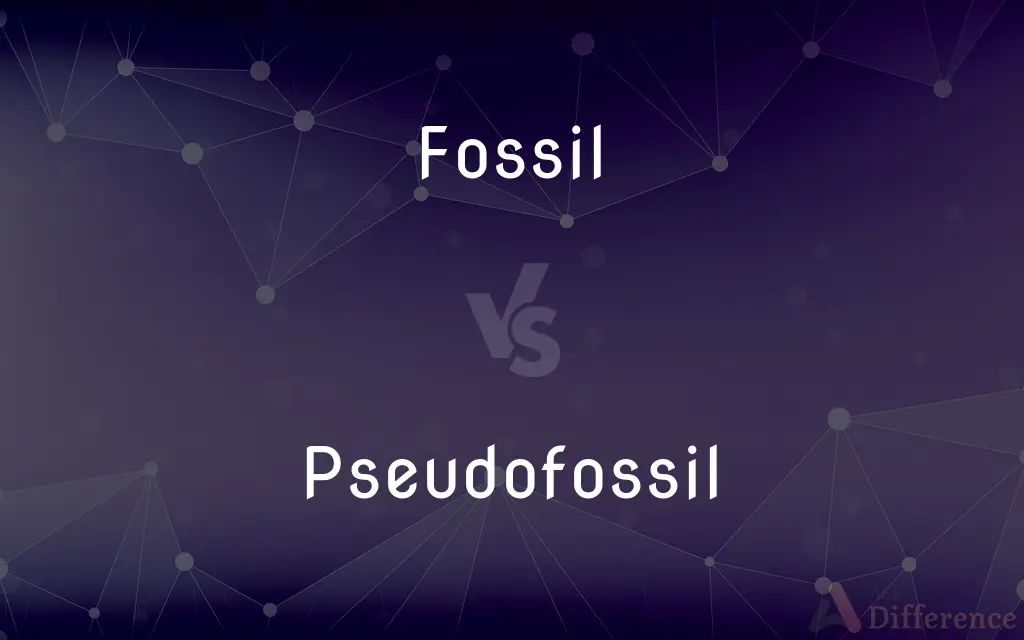 Fossil vs. Pseudofossil — What's the Difference?