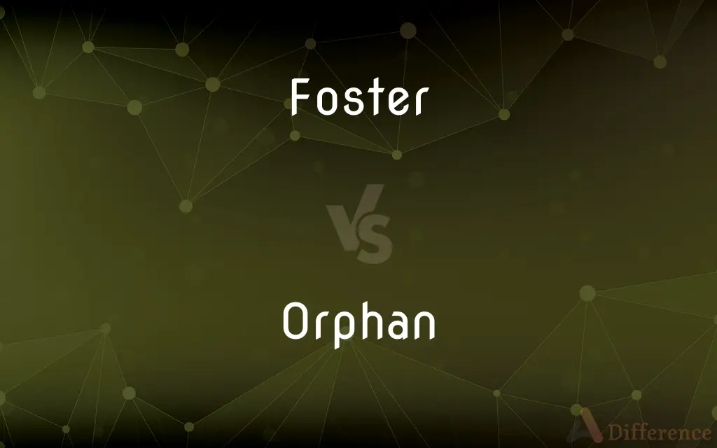 Foster vs. Orphan — What's the Difference?