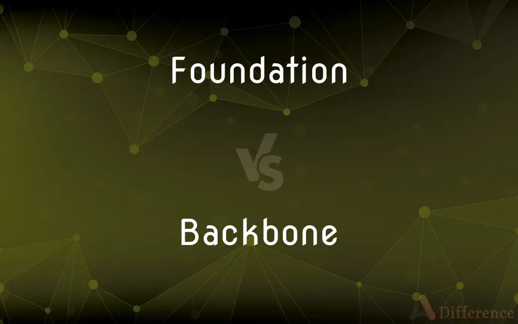 Foundation vs. Backbone — What's the Difference?