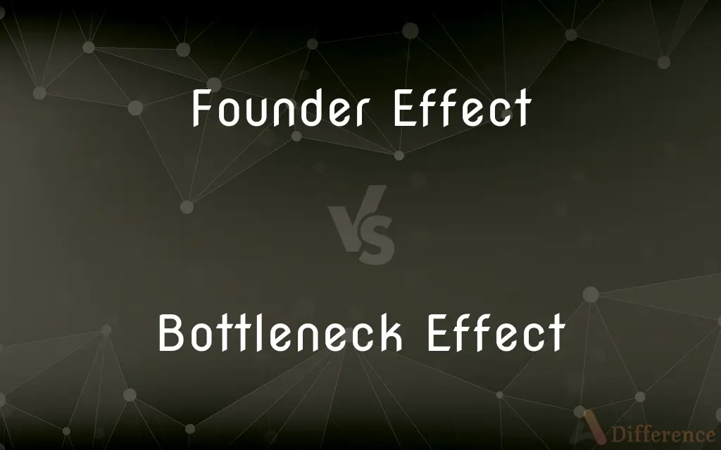 Founder Effect vs. Bottleneck Effect — What's the Difference?