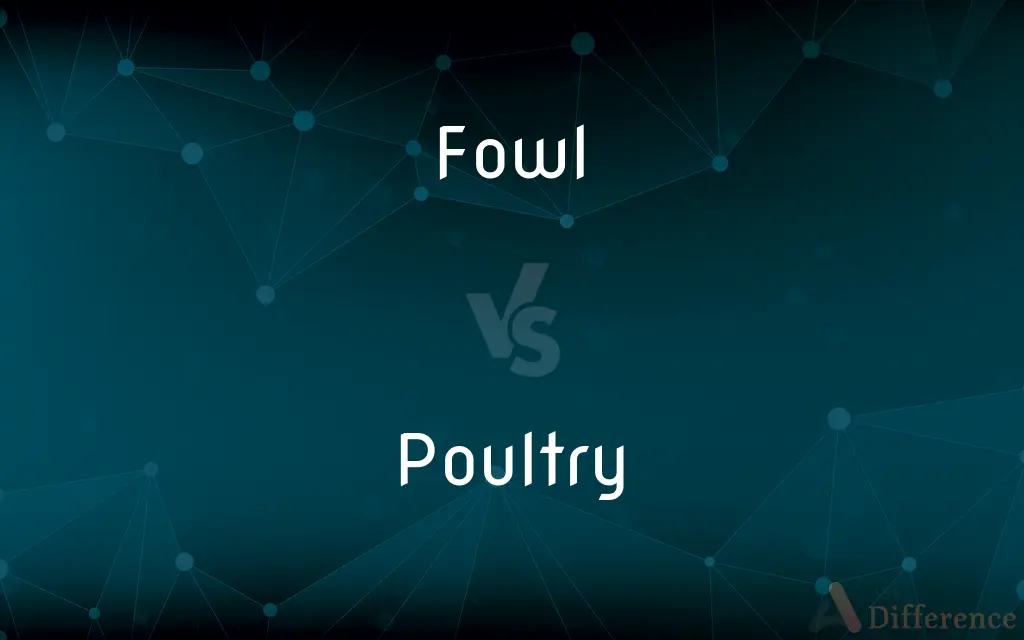 Fowl vs. Poultry — What's the Difference?