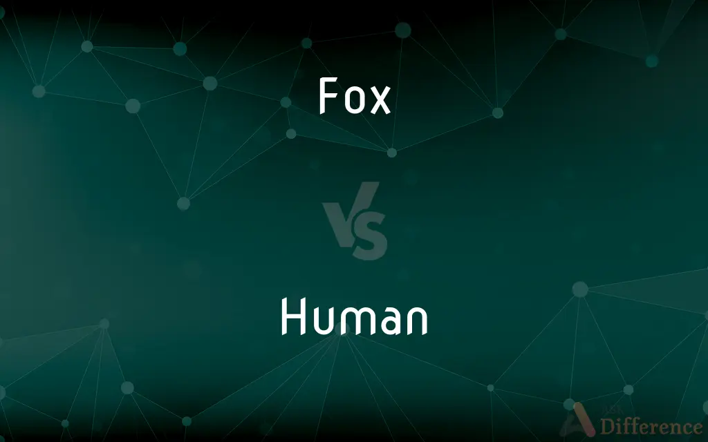 Fox vs. Human — What's the Difference?