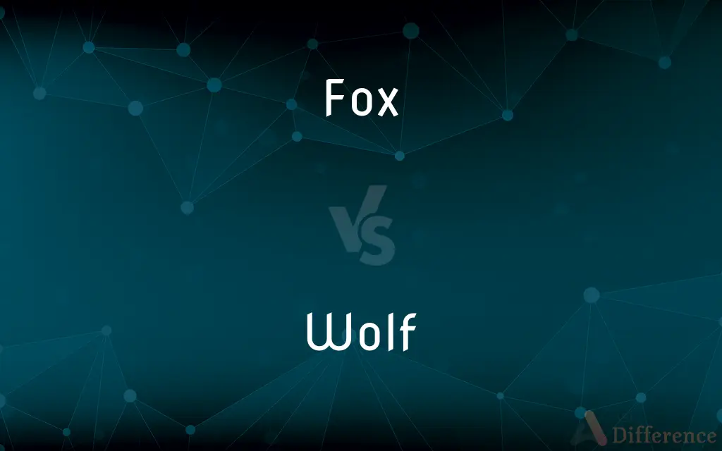Fox vs. Wolf — What's the Difference?