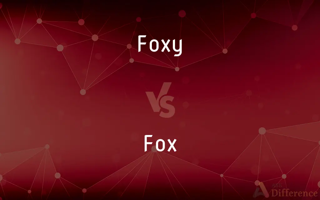 Foxy vs. Fox — What's the Difference?
