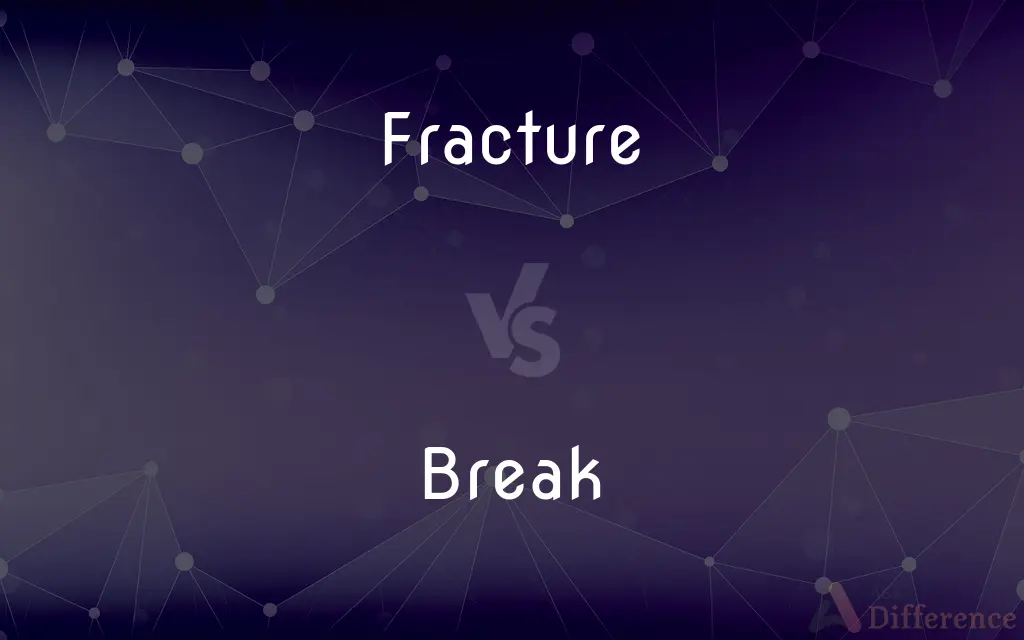 Fracture vs. Break — What's the Difference?