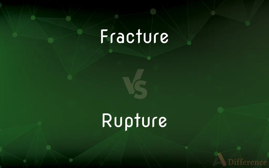 Fracture vs. Rupture — What's the Difference?