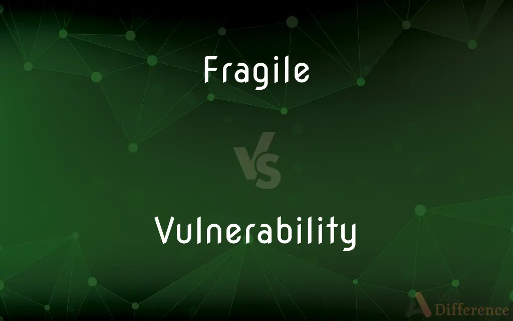 Fragile vs. Vulnerability — What's the Difference?
