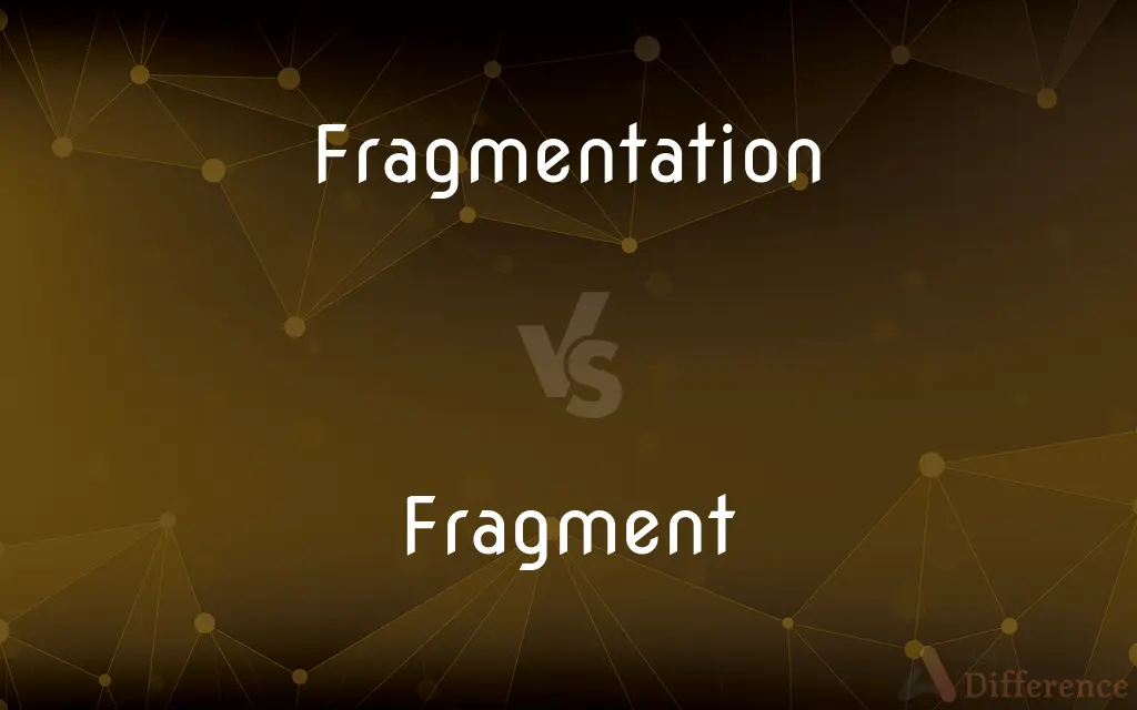 Fragmentation vs. Fragment — What's the Difference?