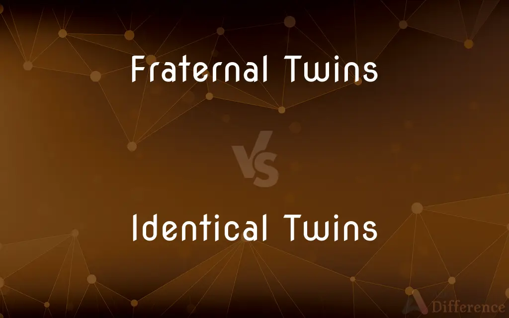 Fraternal Twins vs. Identical Twins — What's the Difference?